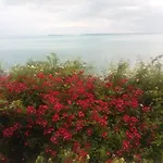 فندق Sea Vista