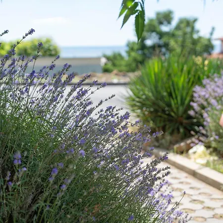 Sea Vista Szálloda 3*